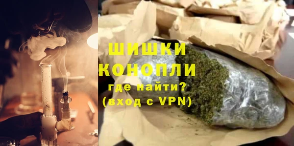 ПСИЛОЦИБИНОВЫЕ ГРИБЫ Горно-Алтайск