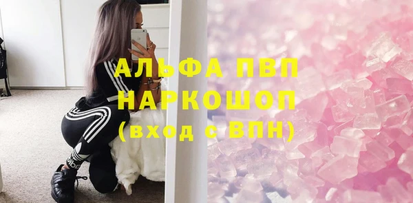 ПСИЛОЦИБИНОВЫЕ ГРИБЫ Горно-Алтайск