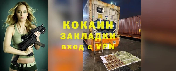 ПСИЛОЦИБИНОВЫЕ ГРИБЫ Горно-Алтайск