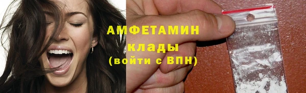 ПСИЛОЦИБИНОВЫЕ ГРИБЫ Горно-Алтайск