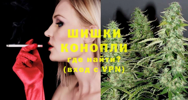 ПСИЛОЦИБИНОВЫЕ ГРИБЫ Горно-Алтайск