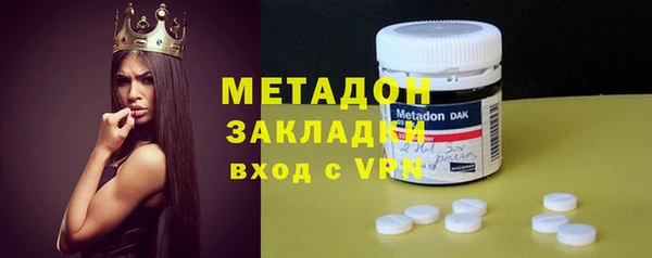 ПСИЛОЦИБИНОВЫЕ ГРИБЫ Горно-Алтайск