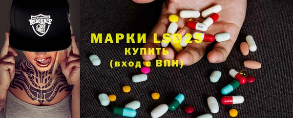 ПСИЛОЦИБИНОВЫЕ ГРИБЫ Горно-Алтайск