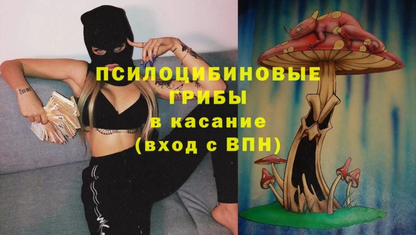 дурь Горняк