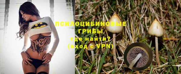 дурь Горняк