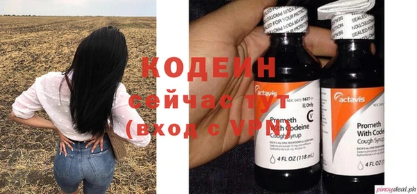 ПСИЛОЦИБИНОВЫЕ ГРИБЫ Горно-Алтайск