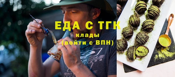 ПСИЛОЦИБИНОВЫЕ ГРИБЫ Горно-Алтайск