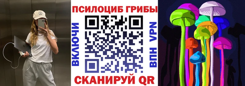 Псилоцибиновые грибы мицелий  где купить наркоту  Томск 